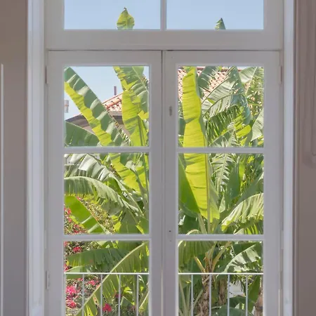 Willa Quebra Costas By An Island Funchal (Madeira)